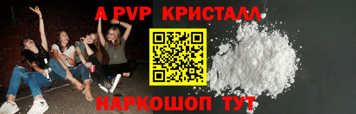 Alfa_PVP СК КРИС Великий Новгород