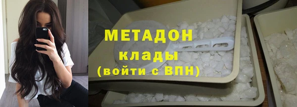 индика Новозыбков