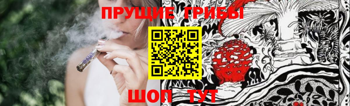 Великий Новгород  Псилоцибиновые грибы ЛСД  закладка  Вход с VPN 
