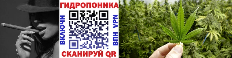 Шишки марихуана SATIVA & INDICA  цена наркотик  Великий Новгород 